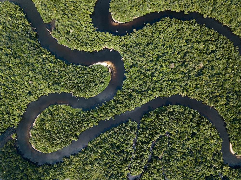 Cardamom Mountains Cambodia rainforest eco-lodge — book Cardamom eco-stays via IMPT