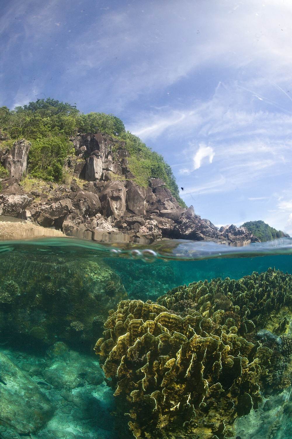 Apo Island Negros Oriental Philippines marine sanctuary eco-diving — IMPT booking