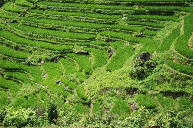 Sapa rice terraces Vietnam eco-tourism Topas Ecolodge — book Vietnam eco-stays via IMPT
