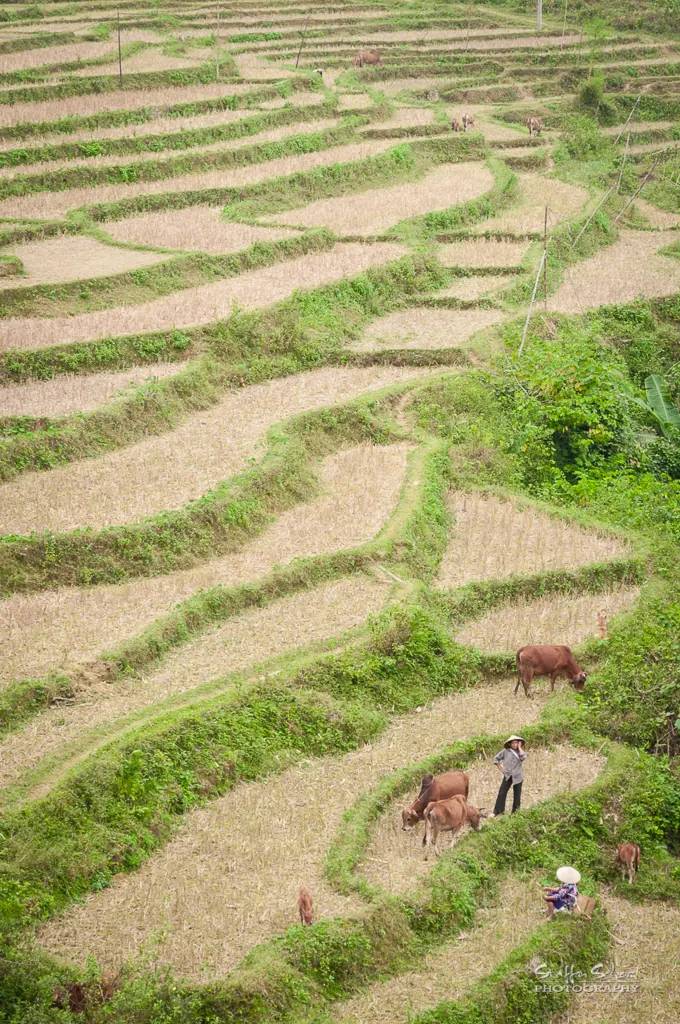Pu Luong Nature Reserve Vietnam community eco-lodge — book via IMPT
